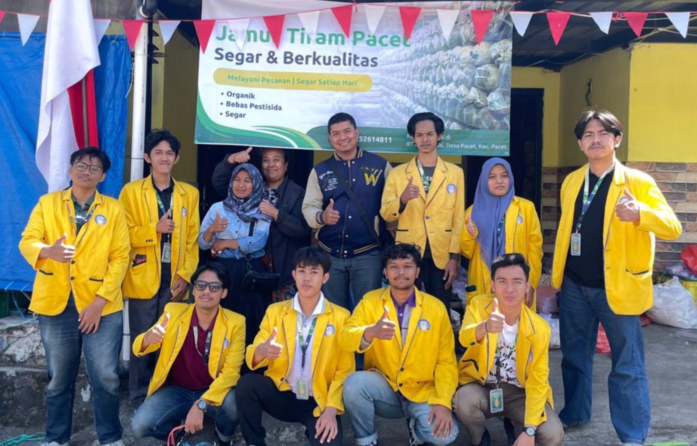 Dukung Pemasaran Produk Lokal, Mahasiswa KKN Kelompok 2 ITICM Perkuat Identitas Usaha Jamur Tiram Pacet